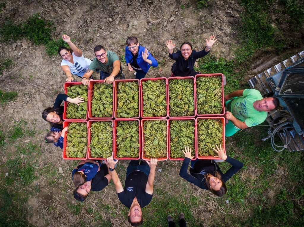 Agricola Marrone: tra le radici delle Langhe e il respiro delle Alpi 4 https www.agricolamarrone.com wp content uploads 2019 09 agricola marrone gallery hd 4 1600x1199 1