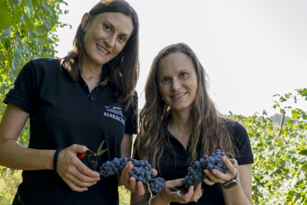 Agricola Marrone: tra le radici delle Langhe e il respiro delle Alpi 3 sisters4
