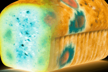 Muffe Invisibili nel Pane: Come Riconoscerle e Difendersi dalla Rischiosa Consumo
