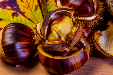 Come Preparare Castagne al Forno Facilmente Sbucciabili: Guida Passo Passo