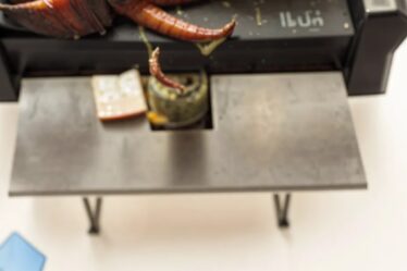 foodblog 1749637191 crop